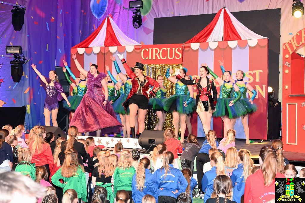 ../Images/Dansmariekefestival 2025 447.jpg